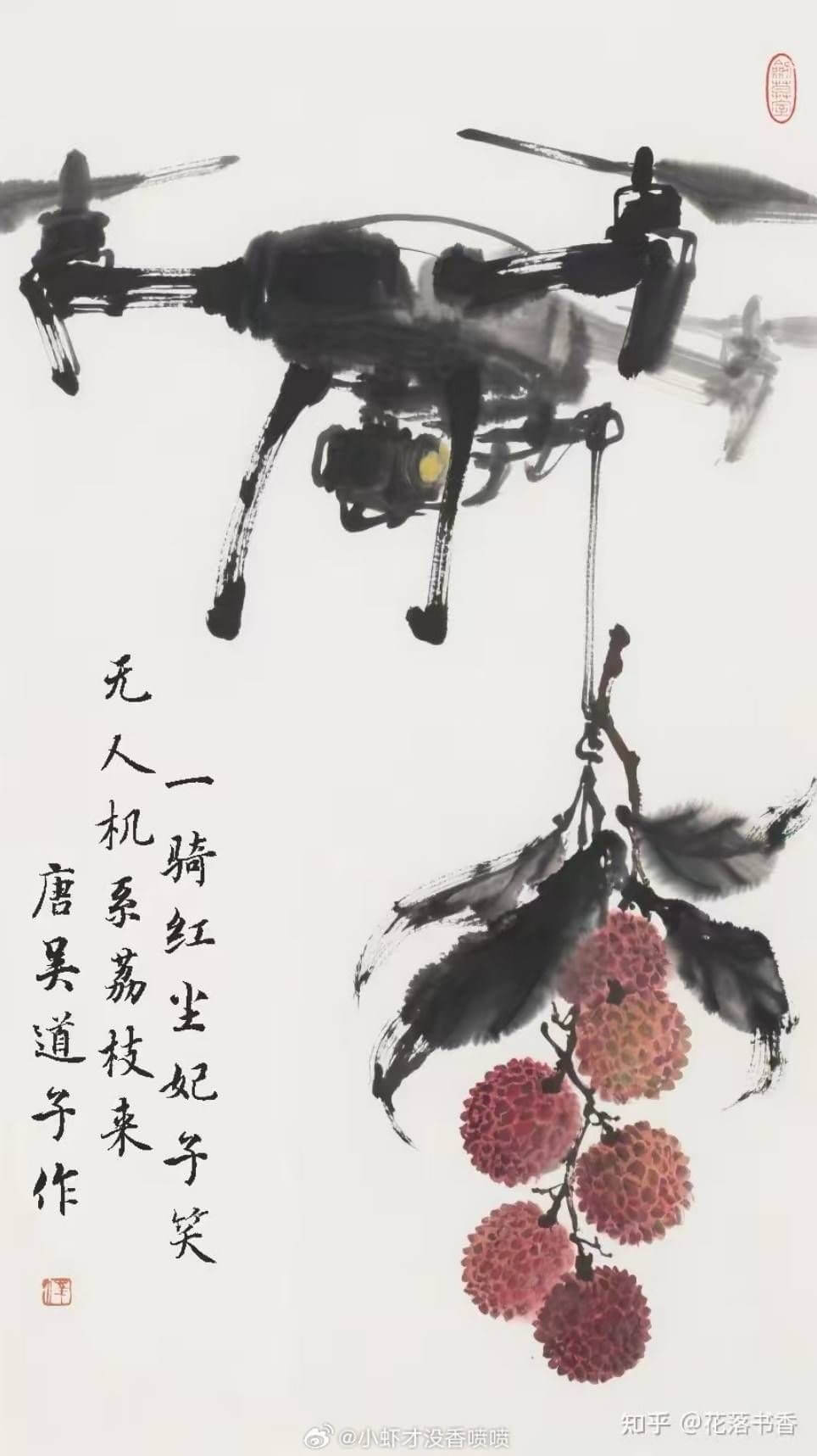无人机系荔枝技来骑红尘妃子笑唐美道子作知乎@花落书香@小虾才