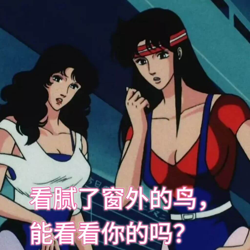 看腻了窗外的鸟，能看看你的吗？