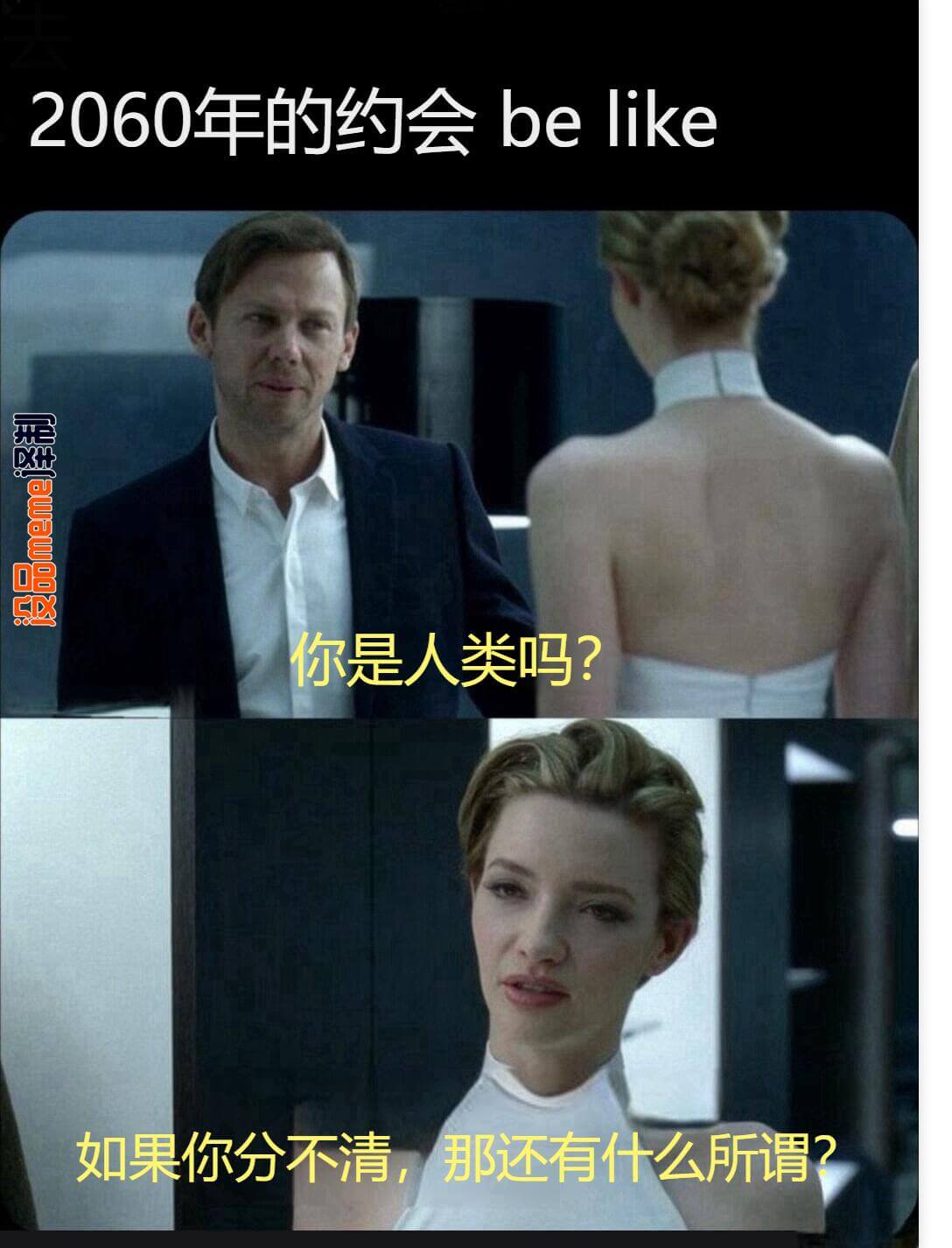 2060年的约会belike：没品meme译制：你是人类吗？