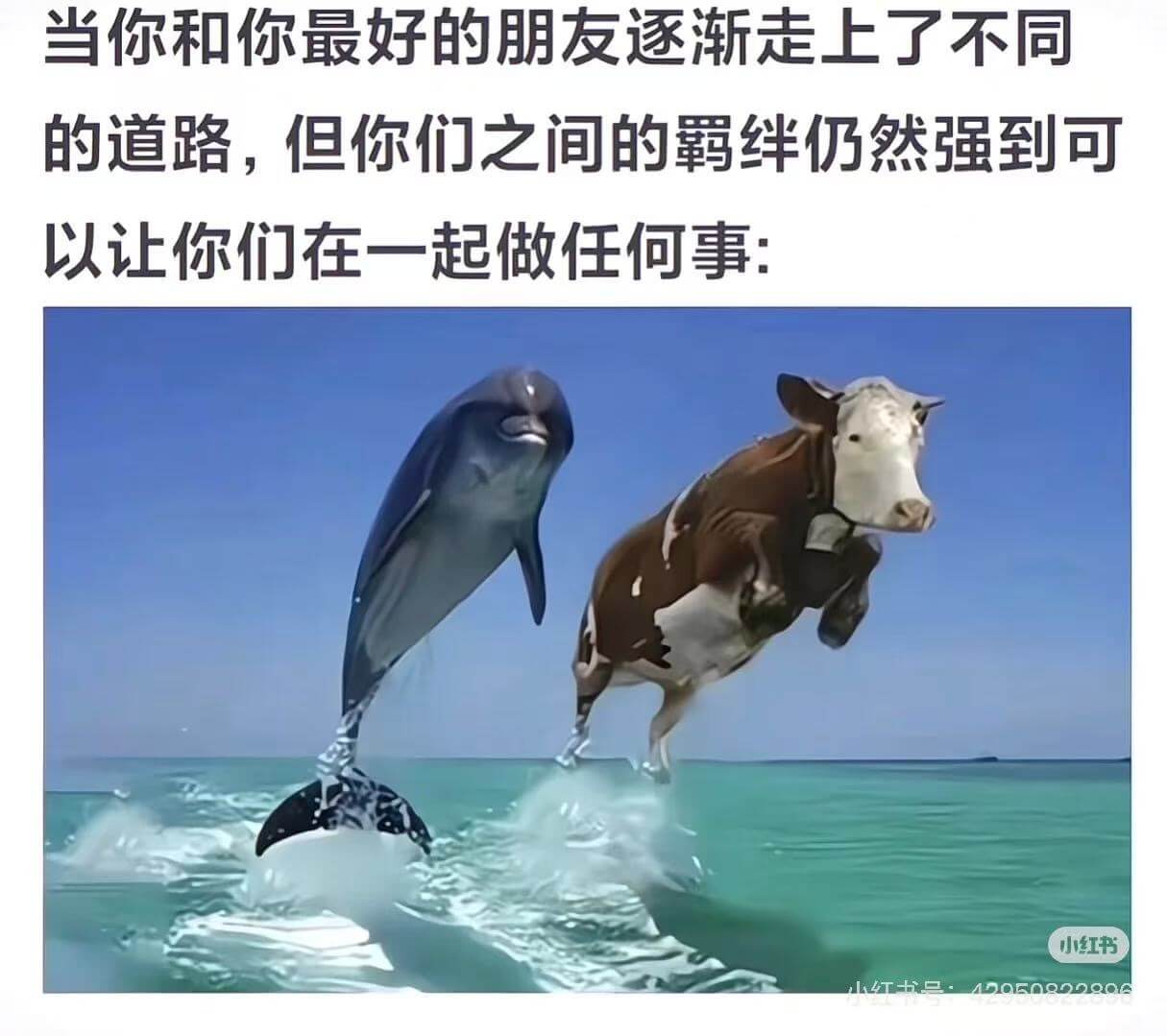 当你和你最好的朋友逐渐走上了不同的道路，但你们之间的关系仍然