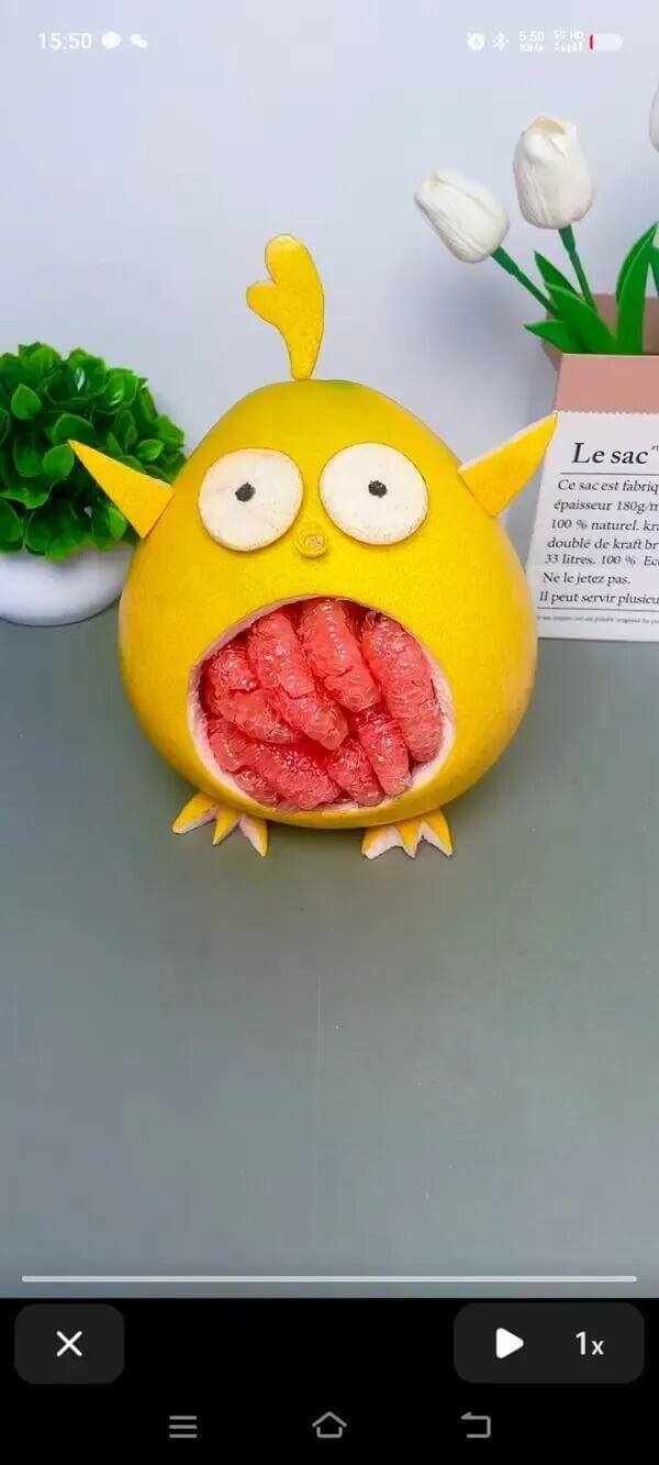 15500LesacCesacestfabriquéenép