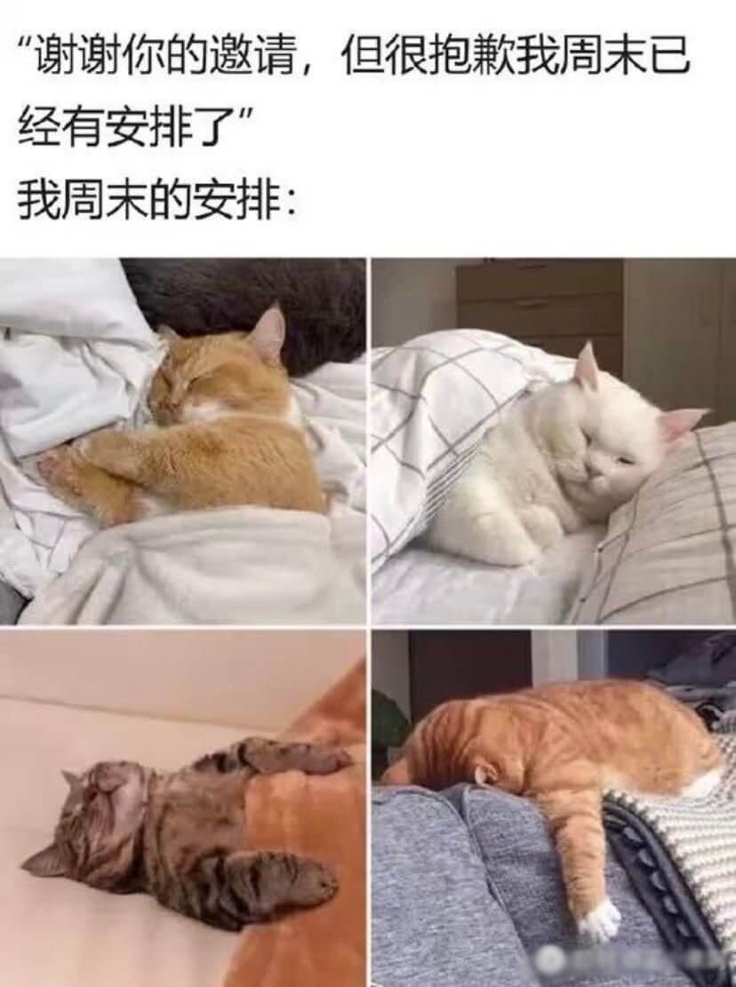 “谢谢你的邀请，但很抱歉，我周末已经有安排了。”我周末的安排