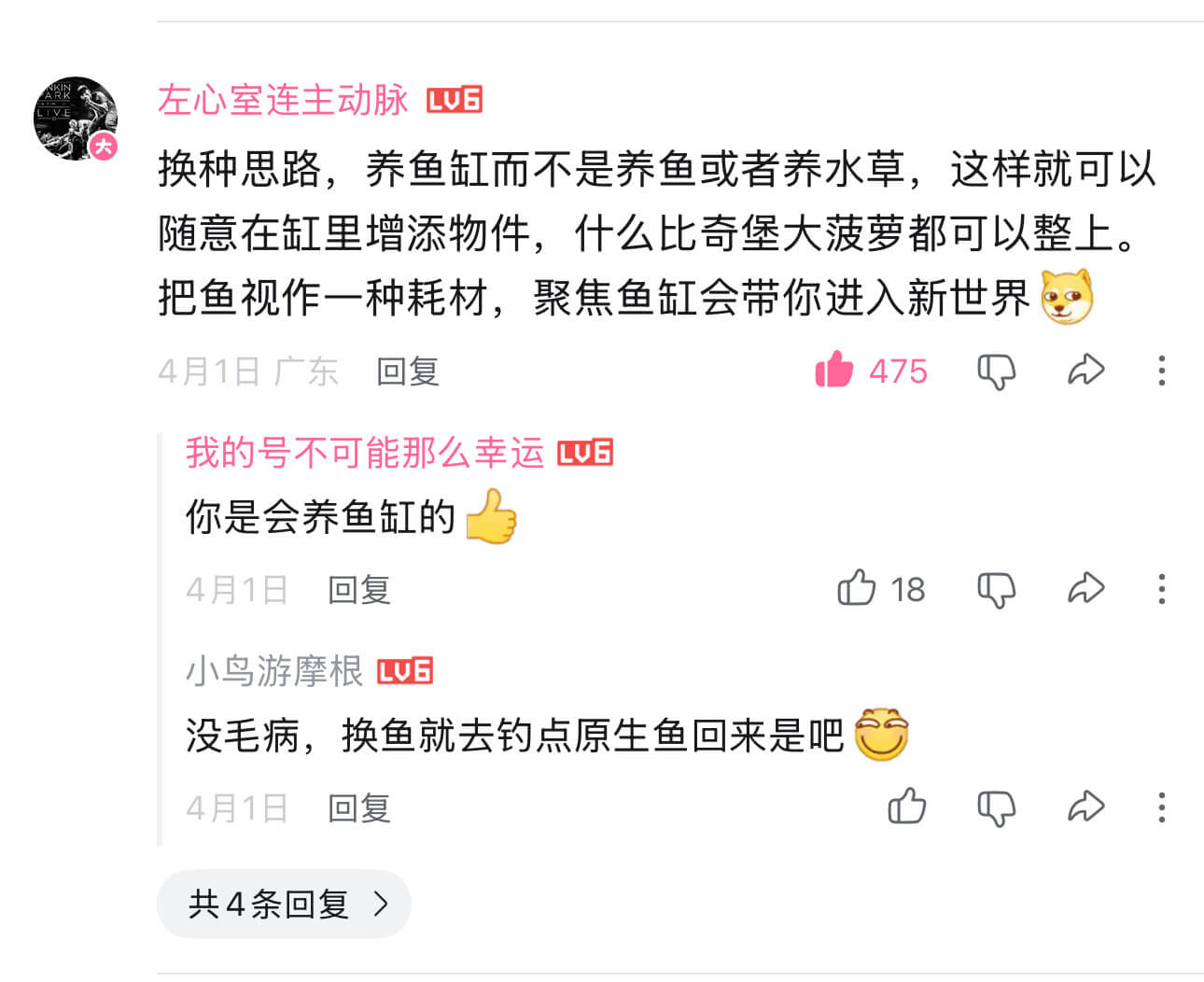左心室连主动脉LV换种思路，养鱼缸而不是养鱼或者养水草，这样