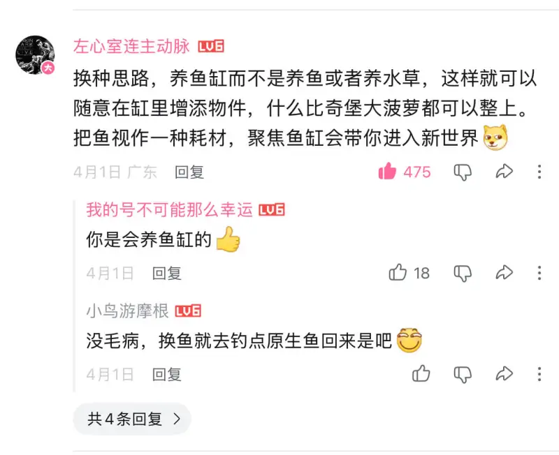 左心室连主动脉LV换种思路，养鱼缸而不是养鱼或者养水草，这样