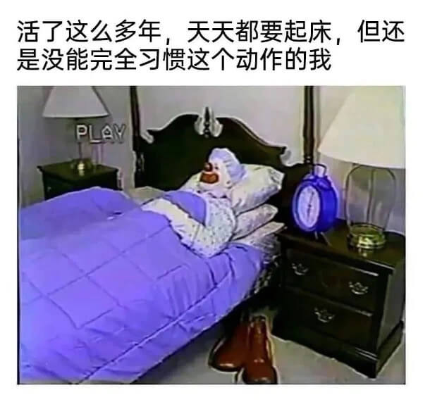 活了这么多年，天天都要起床，但还是没能完全习惯这个动作的我P