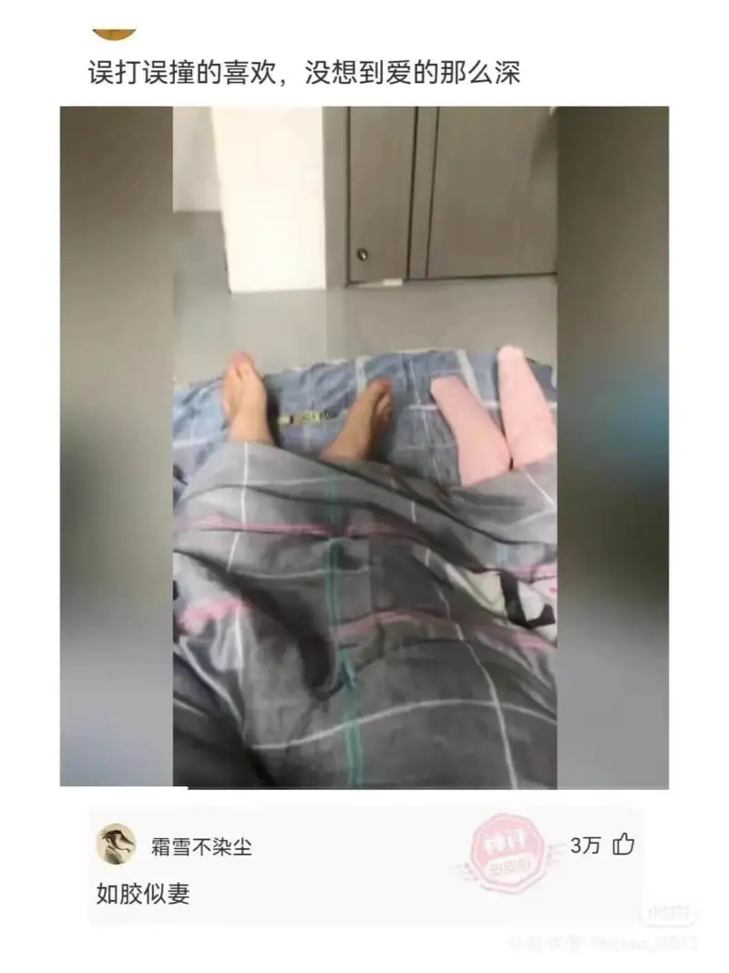 误打误撞的喜欢，没想到爱得那么深。霜雪不染尘。如胶似漆。3万