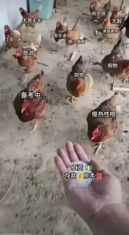 有负债，大龄，无房无车，养猫养狗，大专在读，丁克一族，娇小微