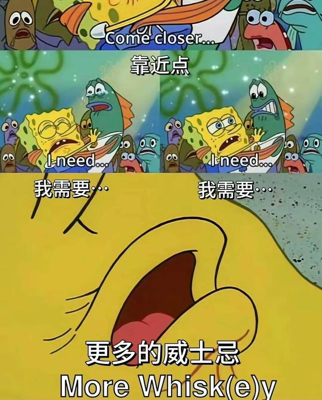 Comecloser...靠近点QIneedU-need88