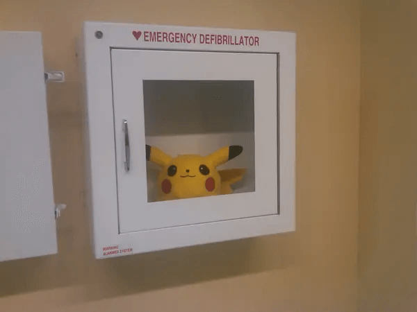 EMERGENCYDEFIBRILLATOR