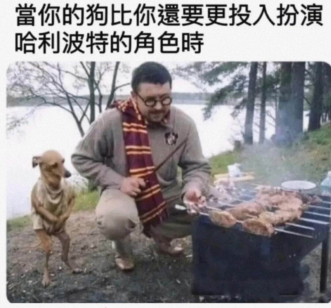当你的狗比你还要更投入扮演哈利波特的角色时