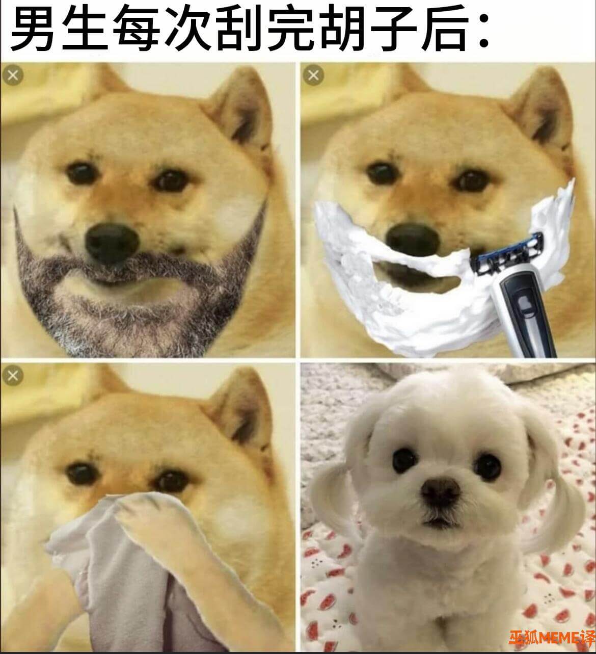 男生每次刮完胡子后：巫狐MEME译