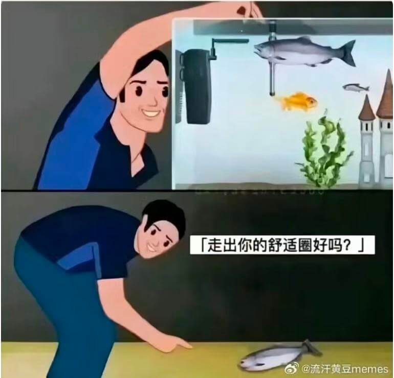 「走出你的舒适圈好吗?」@流汗黄豆memes