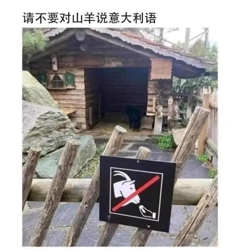 请不要对山羊说意大利语