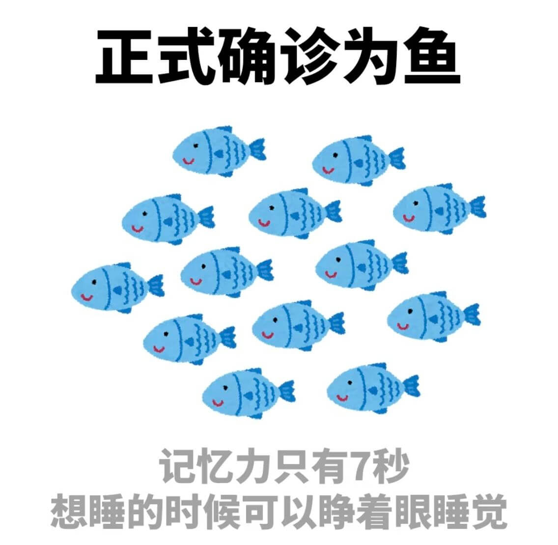 正式确诊为鱼记忆力只有7秒想睡的时候可以静看眼睡觉