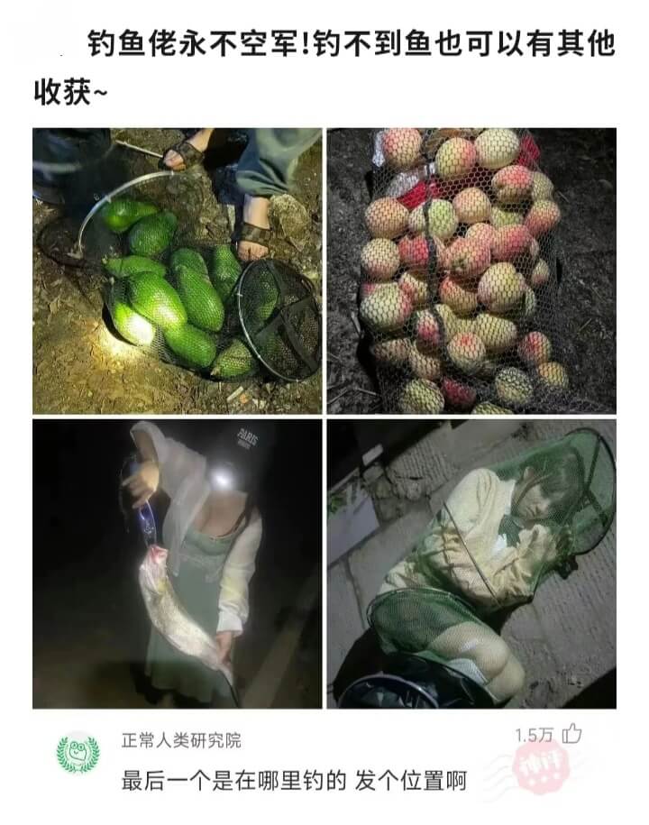 钓鱼佬永不空军!钓不到鱼也可以有其他收获正常人类研究院1.5