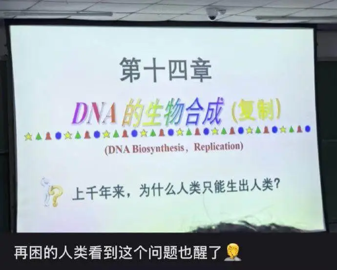 第十四章DNA的生物合成（半保留复制）(DNABiosynt