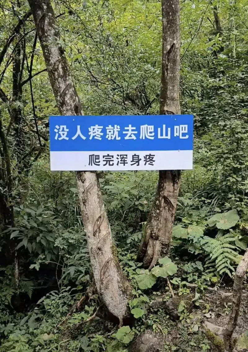 没人疼就去爬山吧爬完浑身疼