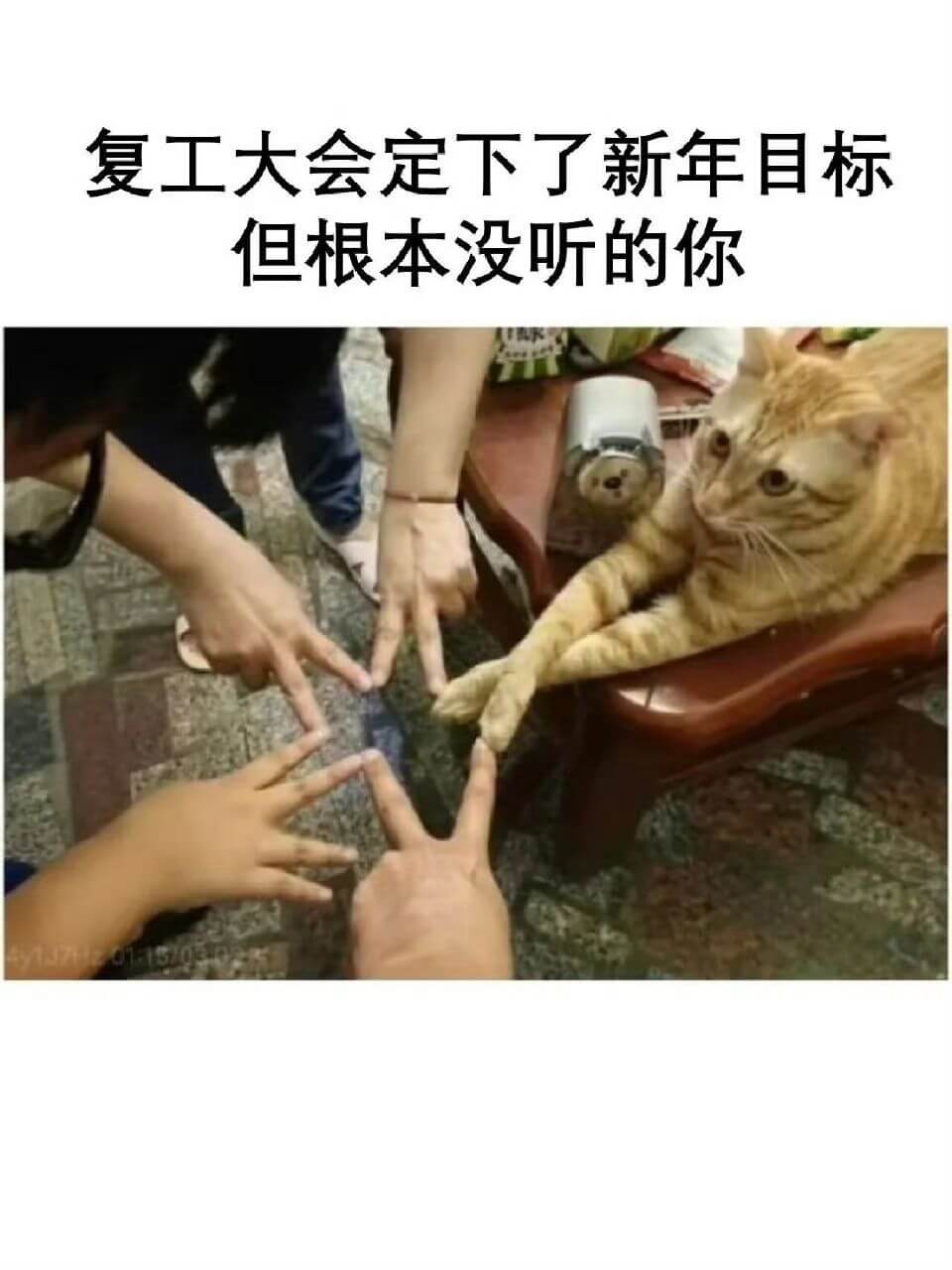 复工大会定下了新年目标但根本没听的你