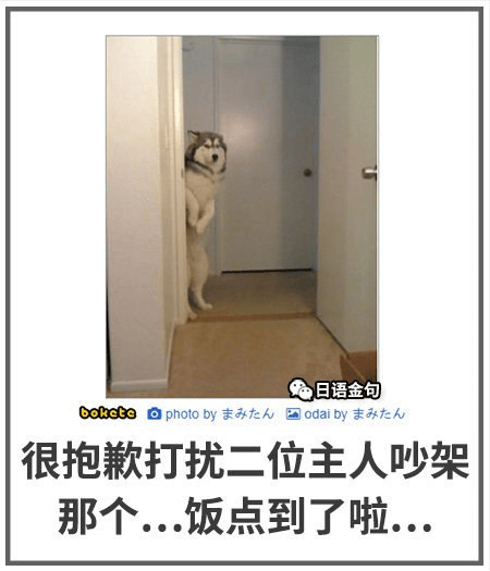 日语金句bokete自photobyth国odaibyt人很