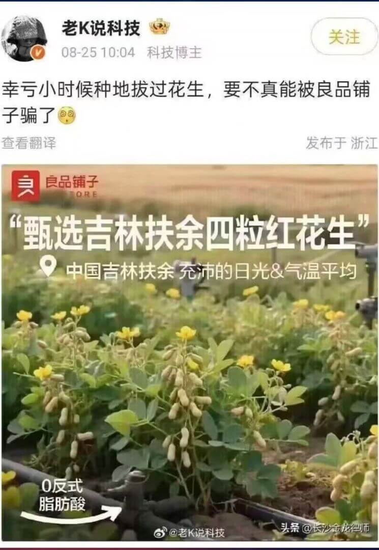 老K说科技关注08-251004科技博主幸亏小时候种地拔过花