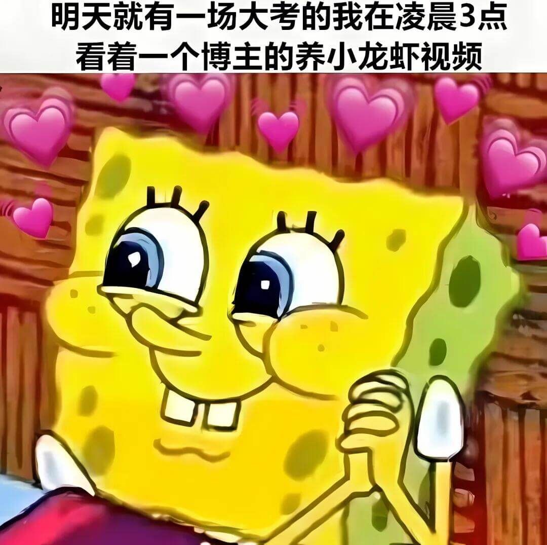 明天就有一场大考的我在凌晨3点看着一个博主的养小龙虾视频