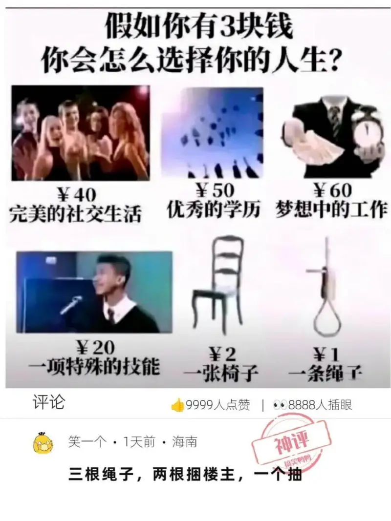 假如你有3块钱你会怎么选择你的人生?¥40完美的社交生活¥5