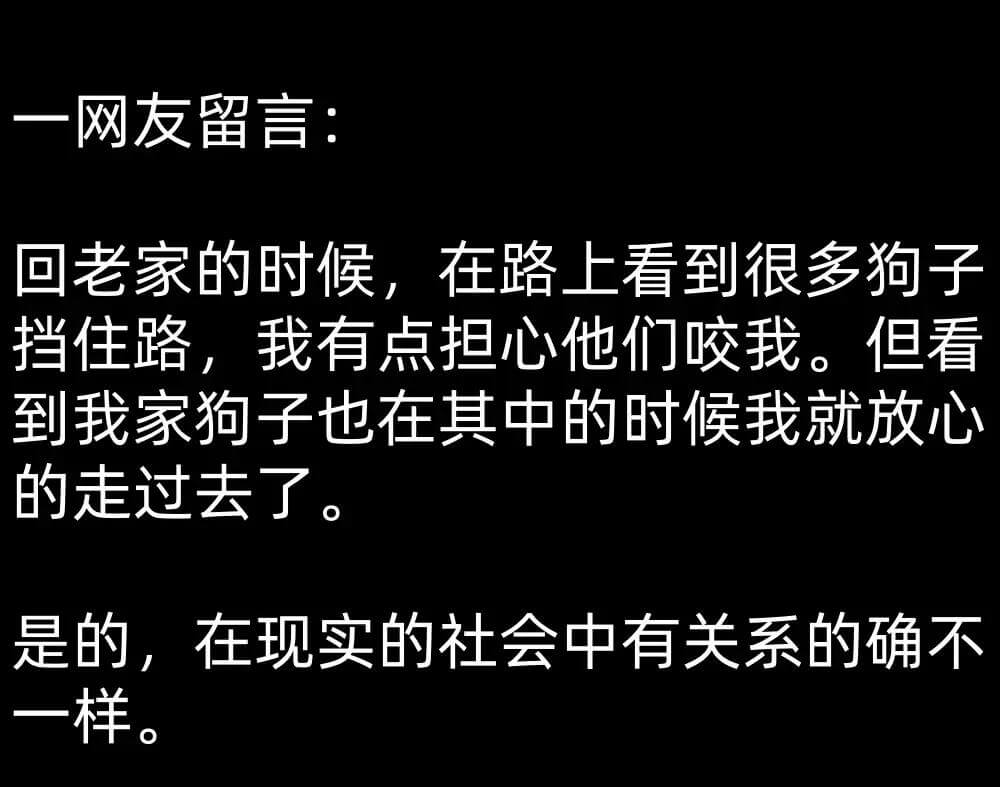 一网友留言：回老家的时候，在路上看到很多狗子挡住路，我有点担