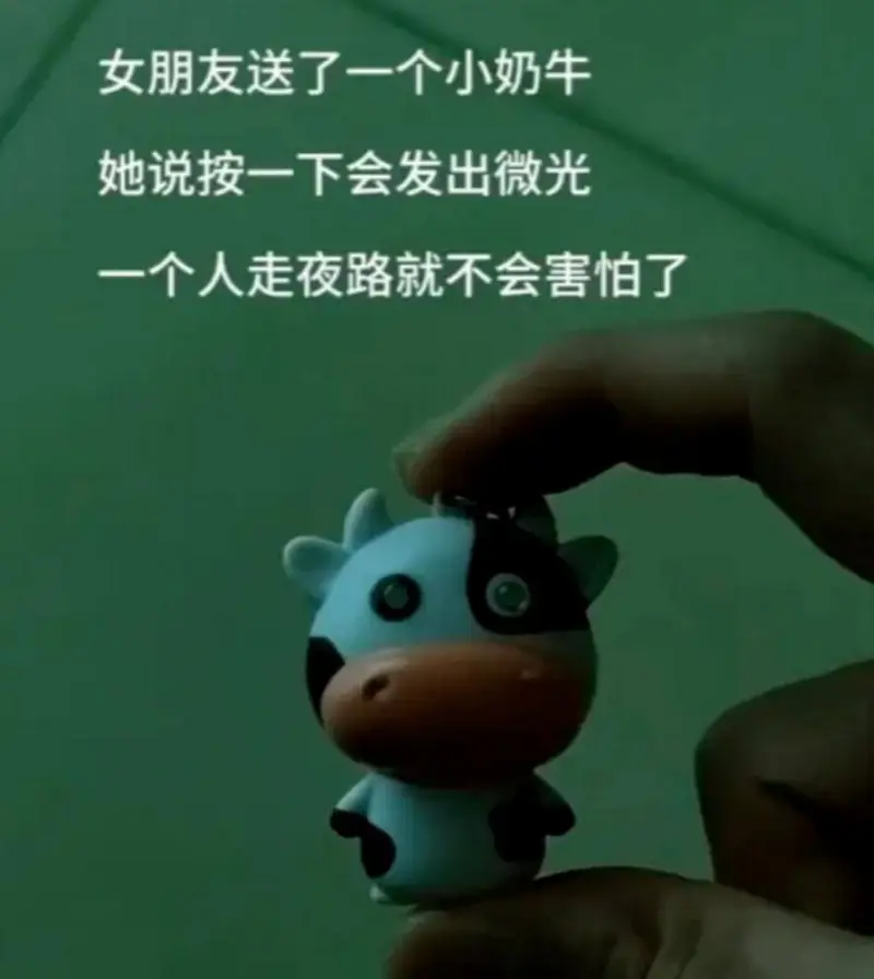 女朋友送了一个小奶牛，她说按一下会发出微光，一个人走夜路就不