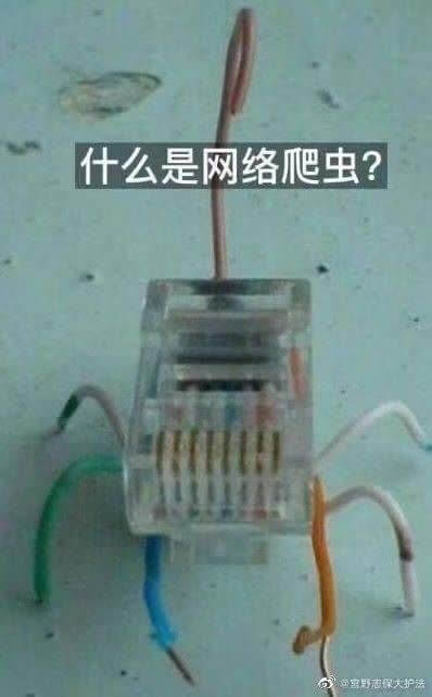 什么是网络爬虫?