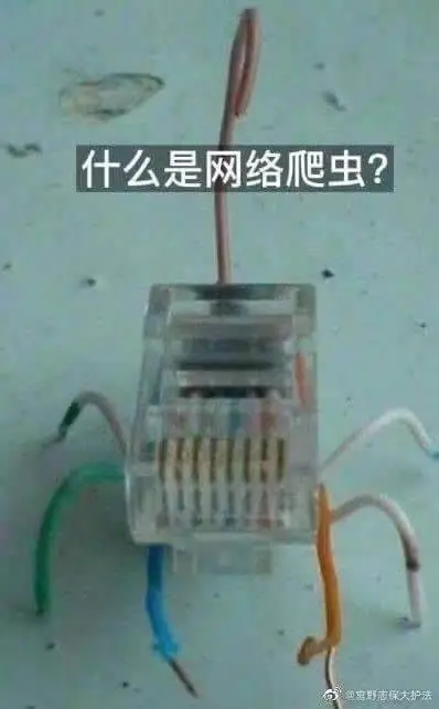 什么是网络爬虫?