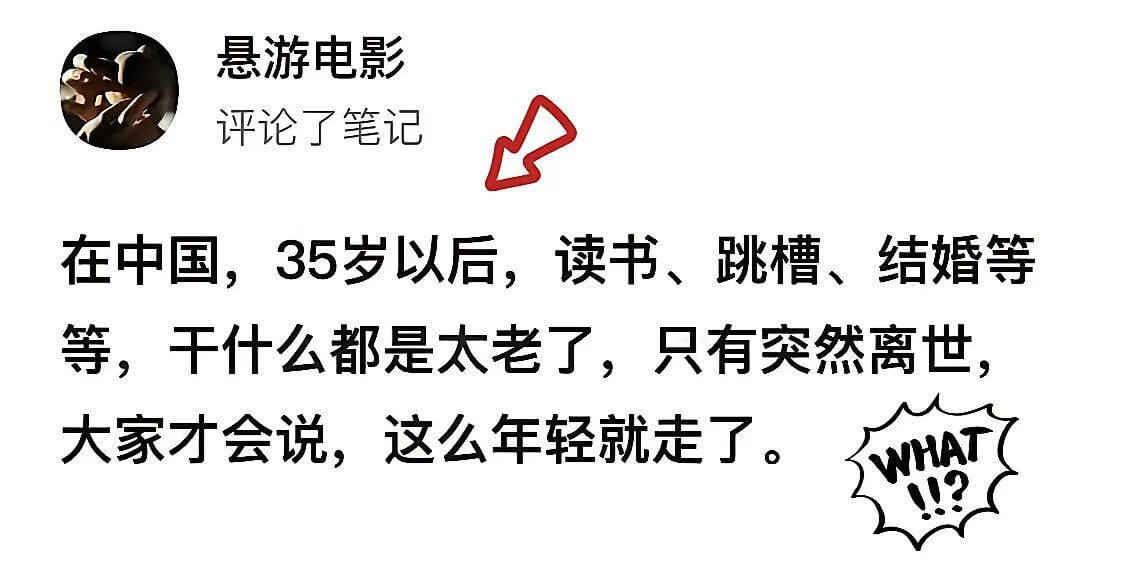 悬游电影评论了笔记在中国，35岁以后，读书、跳槽、结婚等，干
