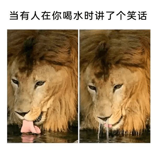 当有人在你喝水时讲了个笑话