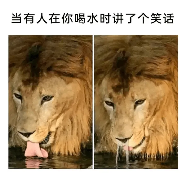 当有人在你喝水时讲了个笑话