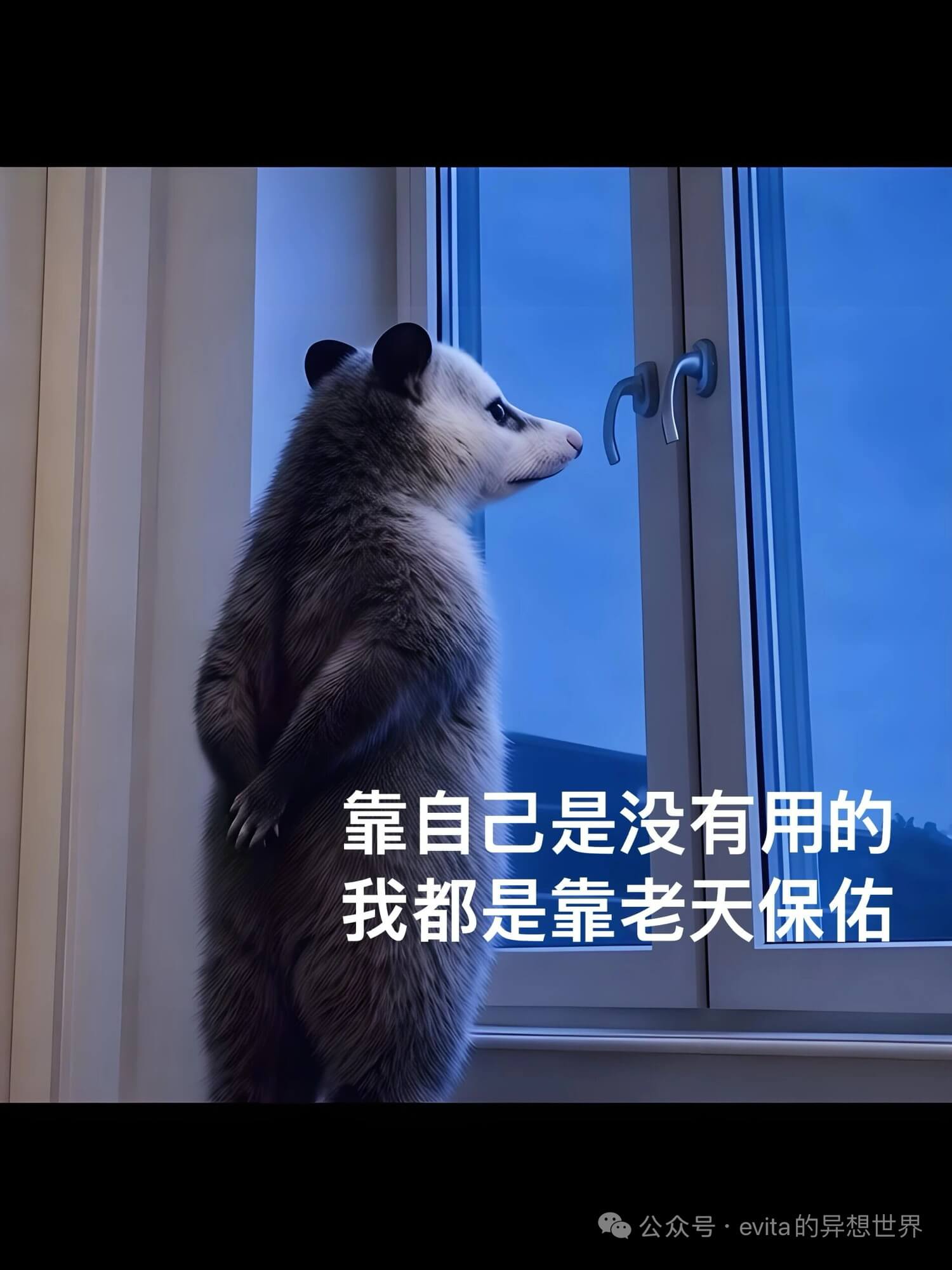 靠自己是没有用的,我都是靠老天保佑。公众号·evita的异想