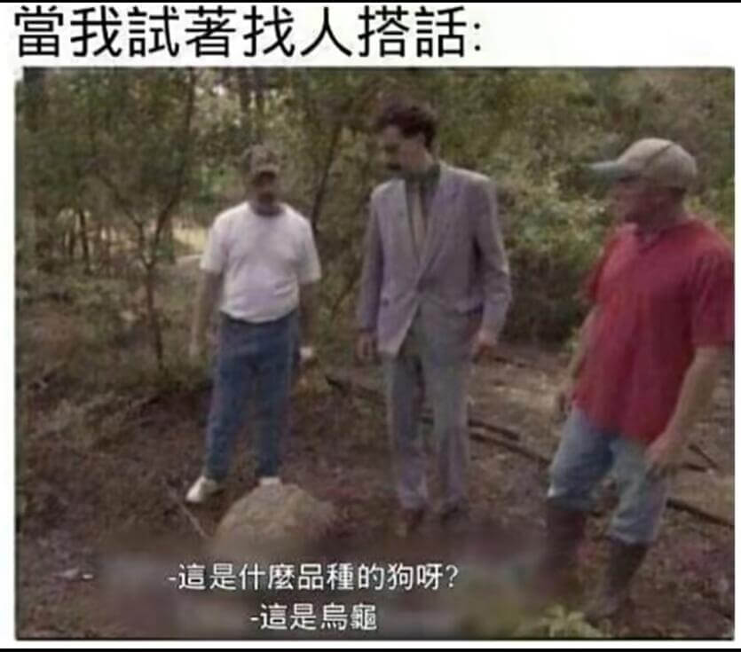 当我著找人搭话：这是什么品种的狗呀？这是扁宝