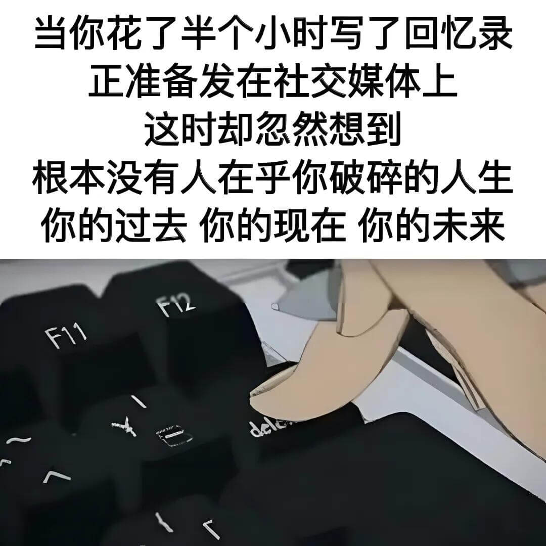 当你花了半个小时写了回忆录，正准备发在社交媒体上，这时却忽然
