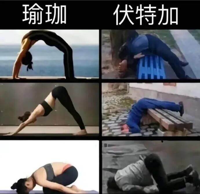 瑜珈伏特加