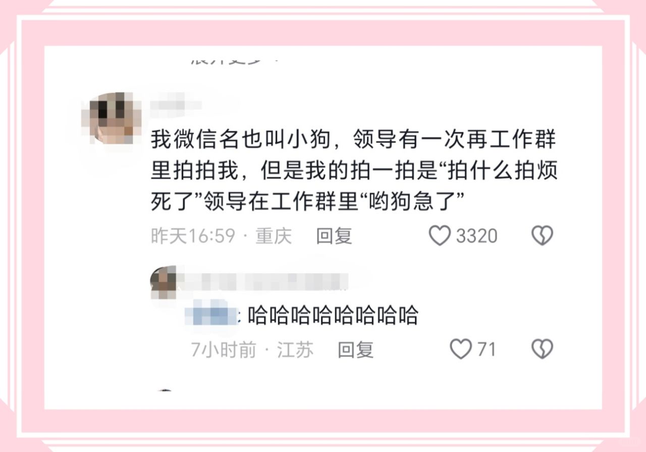 我微信名也叫小狗，领导有一次再工作群里拍拍我，但是我的拍一拍