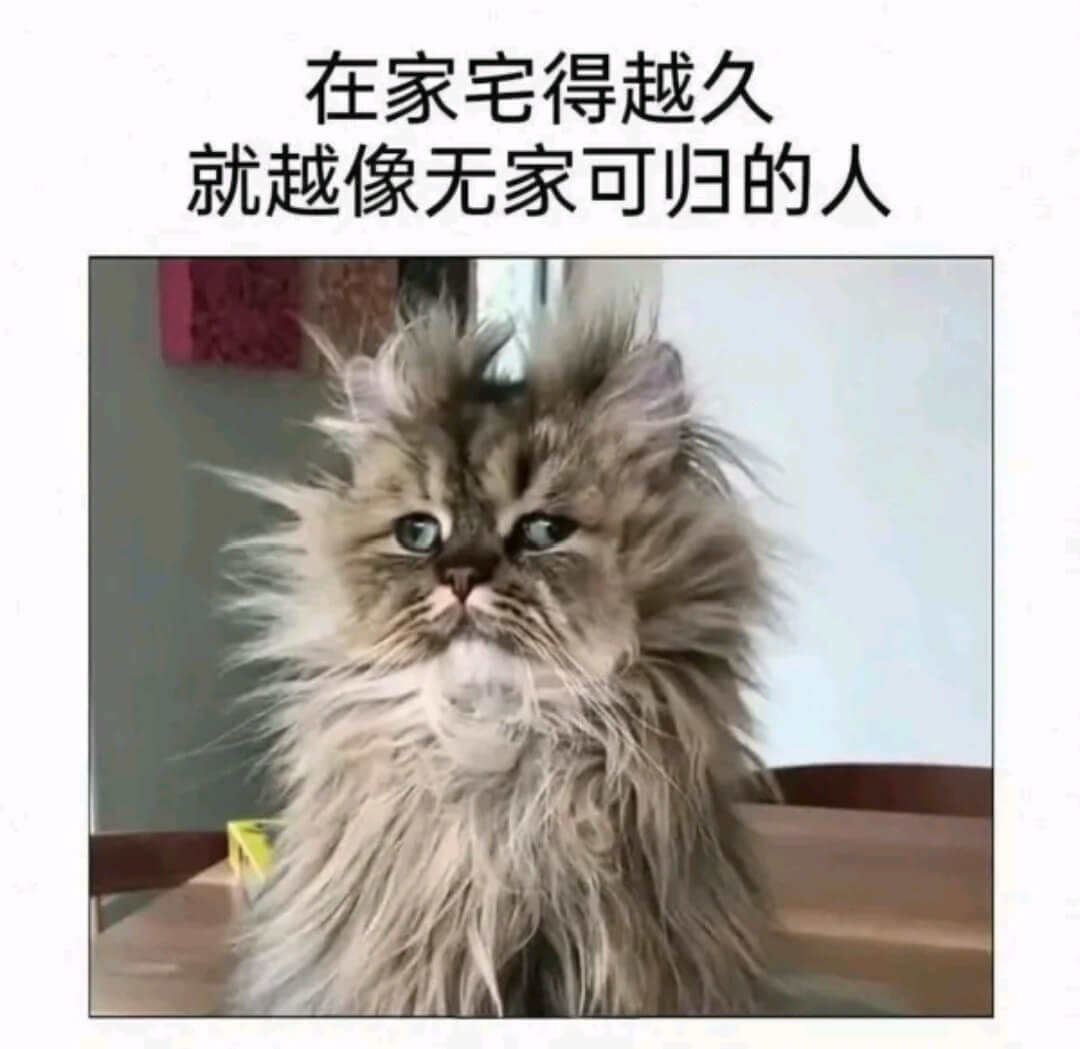 在家宅得越久就越像无家可归的人