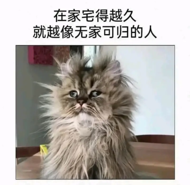 在家宅得越久就越像无家可归的人
