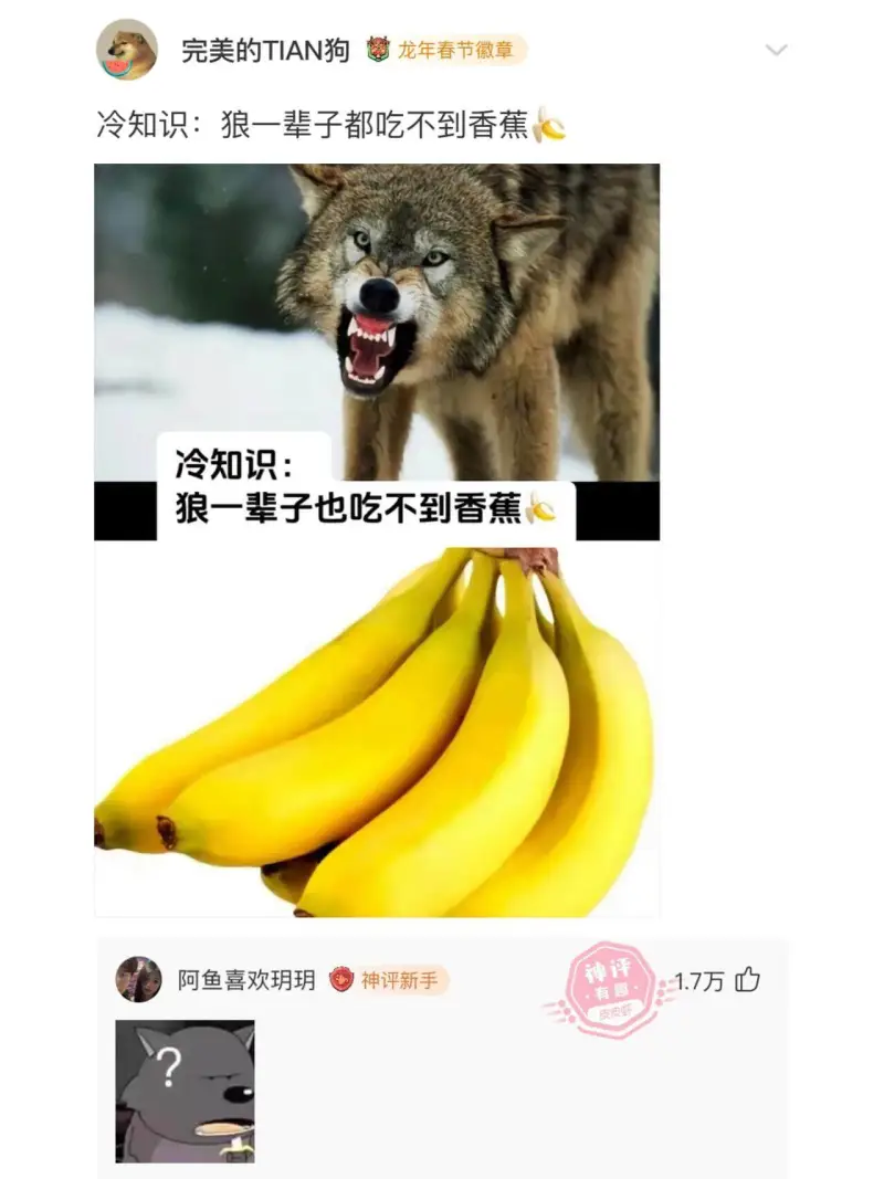 冷知识:狼一辈子也吃不到香蕉。阿鱼喜欢玥玥。神评新手。