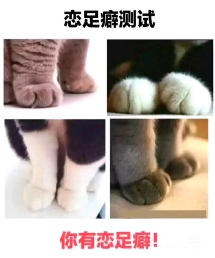 恋足癖测试你有恋足癖!