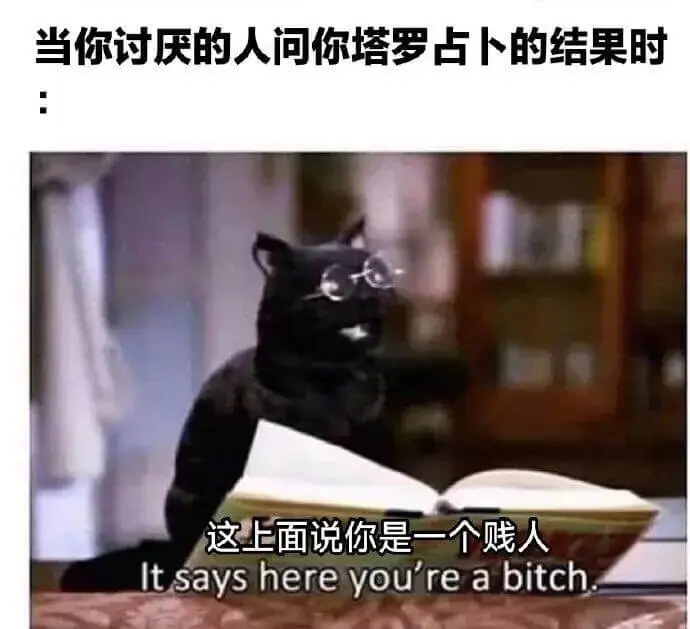 当你讨厌的人问你塔罗占卜的结果时，这上面说你是一个贱人。It