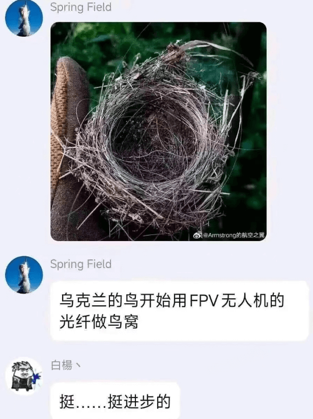 SpringFieldSpringField乌克兰的鸟开始用