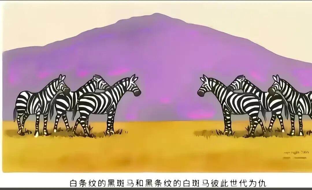 白条纹的黑斑马和黑条纹的白斑马彼此世代为仇