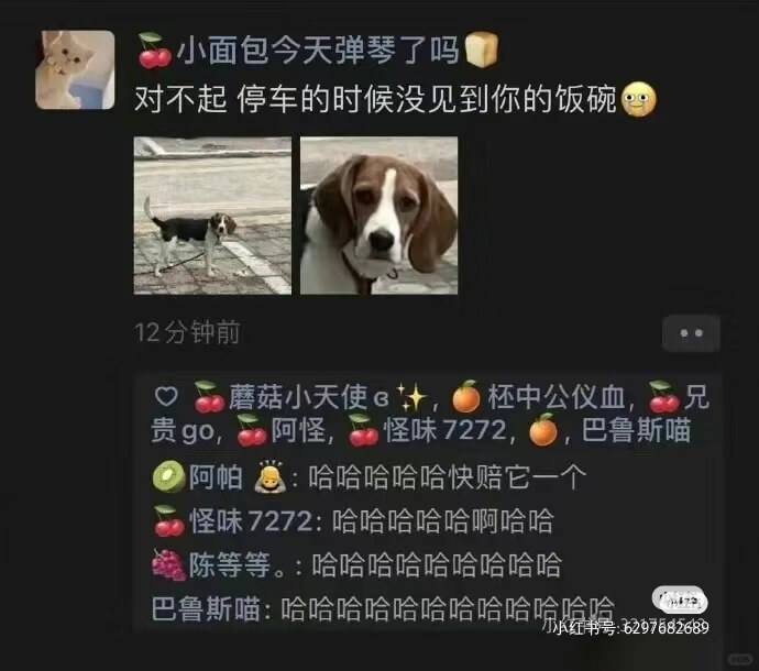 小面包今天弹琴了吗对不起停车的时候没见到你的饭碗12分钟前蘑