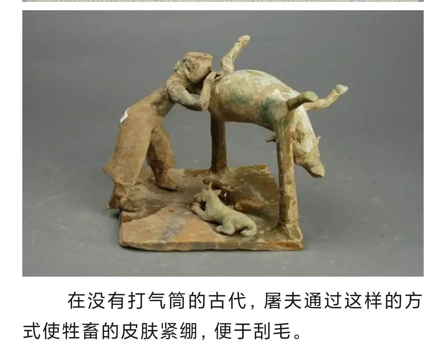 在没有打气筒的古代，屠夫通过这样的方式使牲畜的皮肤紧绷，便于