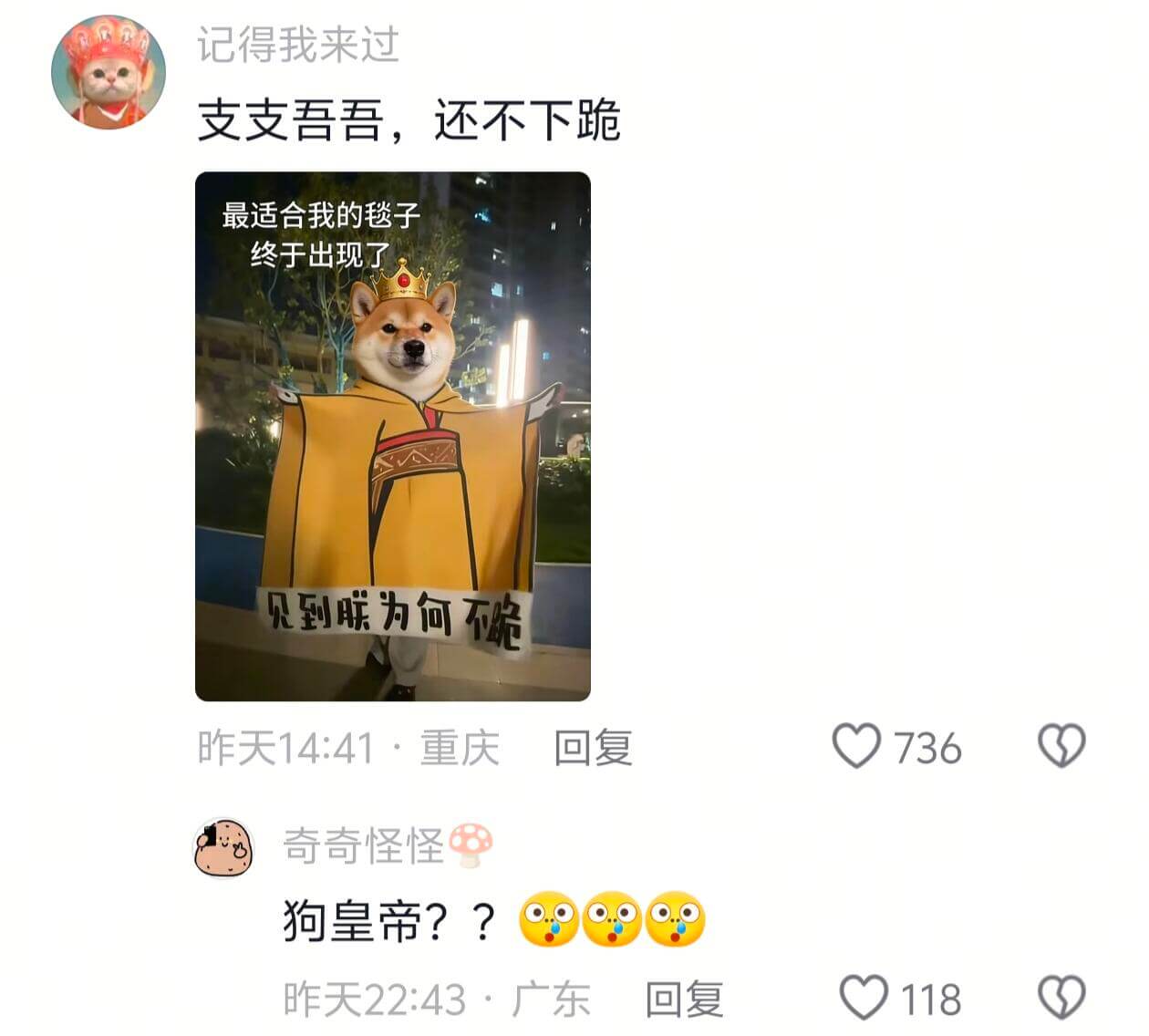 记得我来过支支吾吾，还不下跪最适合我的毯子终于出现了见到联为