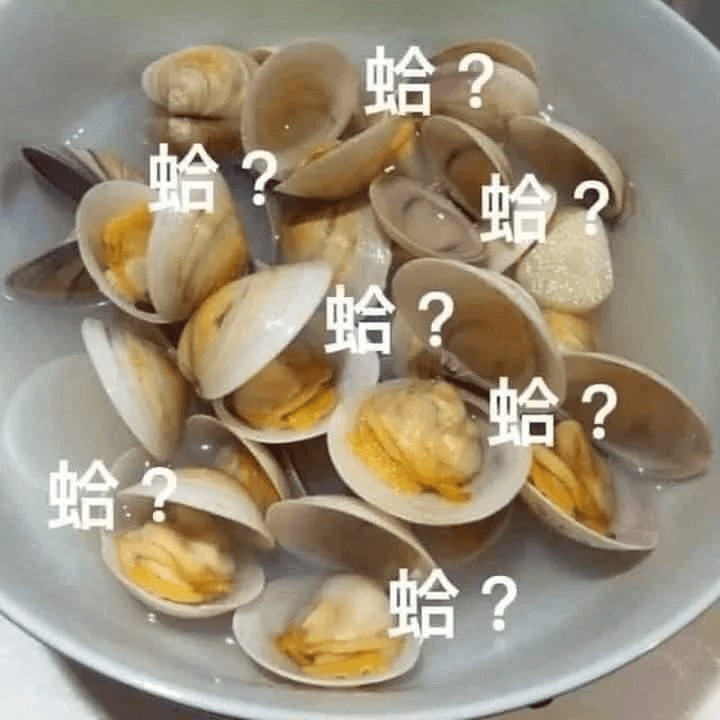 蛤？蛤？蛤？蛤？蛤？蛤？蛤？