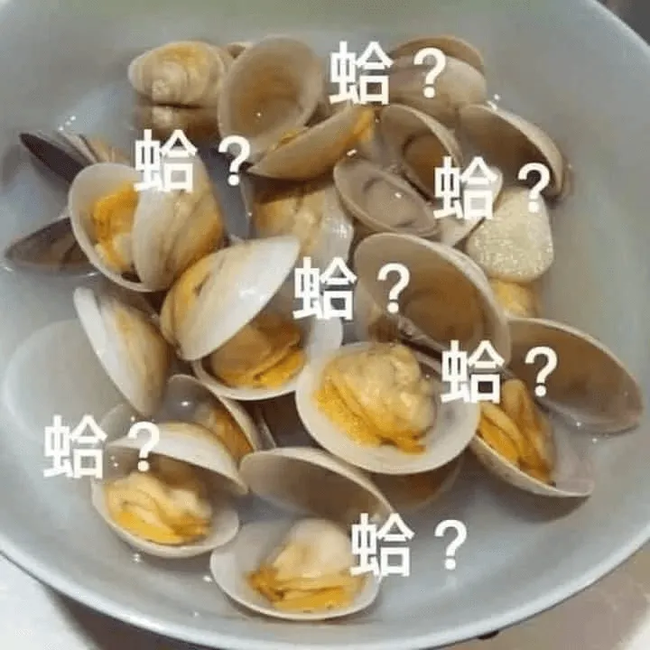 蛤？蛤？蛤？蛤？蛤？蛤？蛤？